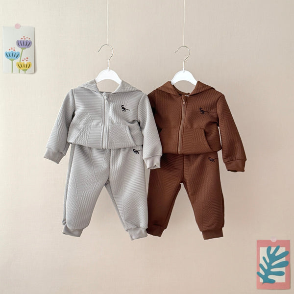 Toddler 2-Piece Sleek Hoodie Boys Sportswear Set
